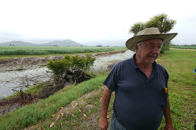 Cane farmer